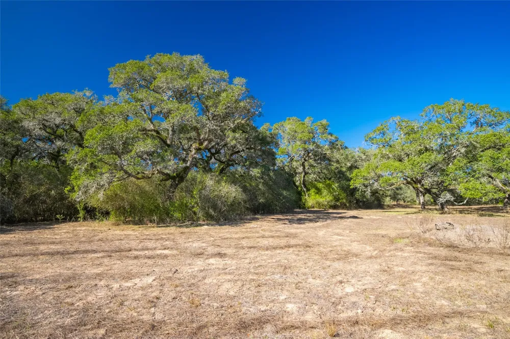 1293 Pintail Rock Island, TX 78934