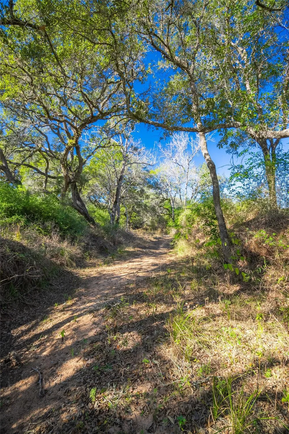 1293 Pintail Rock Island, TX 78934