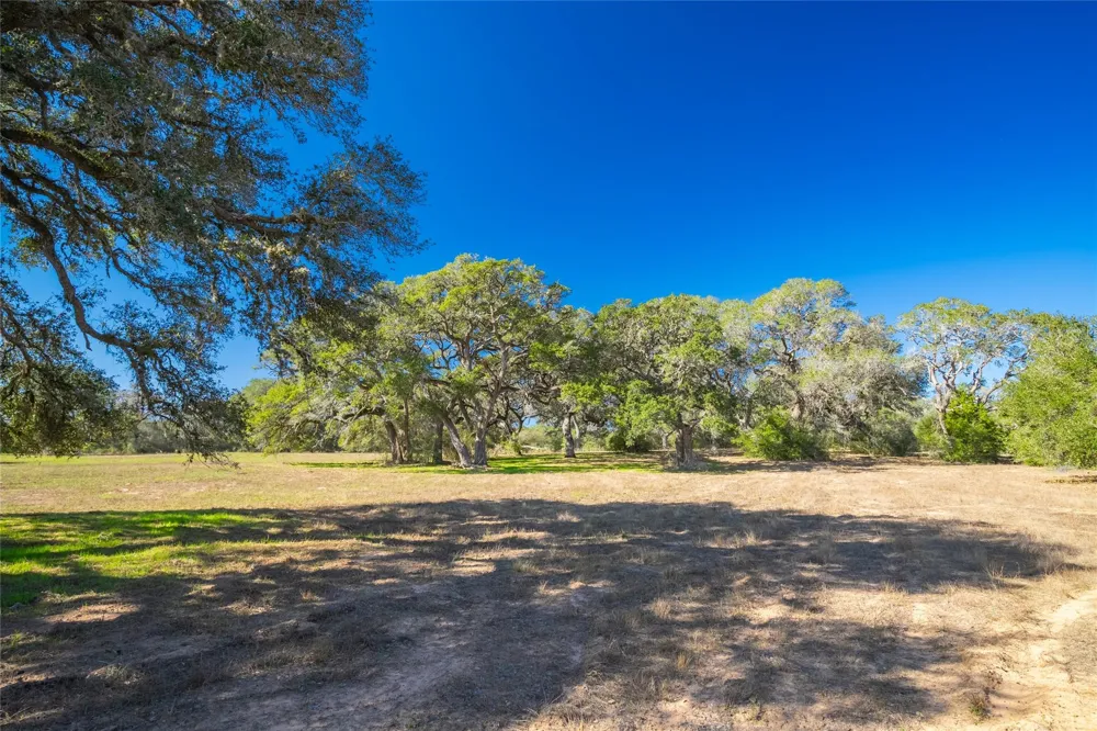 1293 Pintail Rock Island, TX 78934