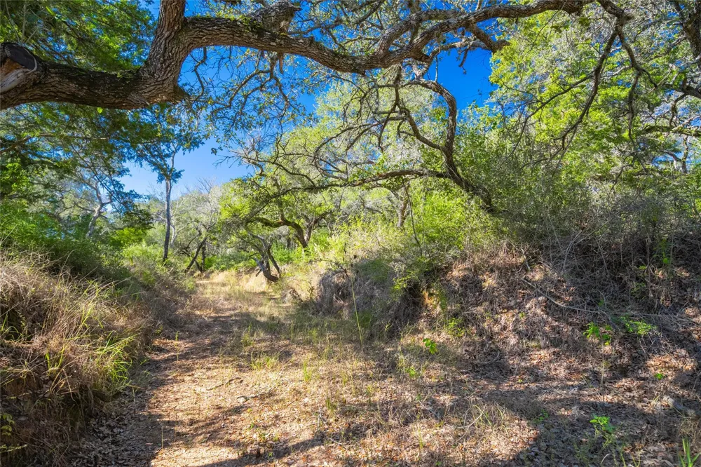 1293 Pintail Rock Island, TX 78934