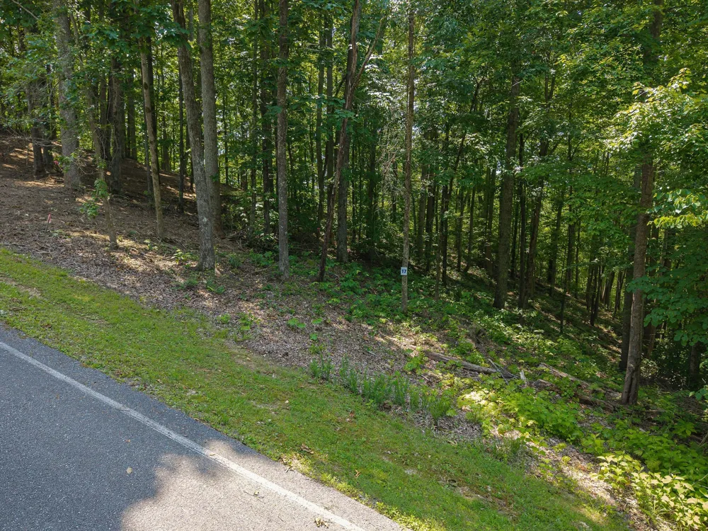 0 Bridge Pointe Rd Sparta, TN 38583