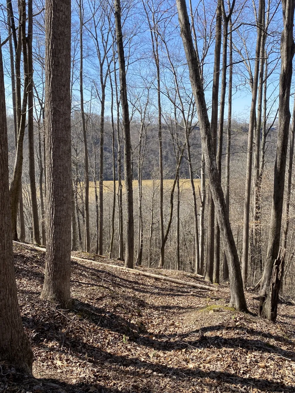 0 Bridge Pointe Rd Sparta, TN 38583