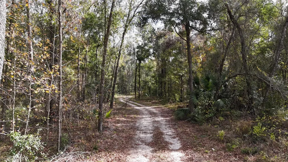 Irvine Acres #3 (10ac) W HWY 318 Reddick, FL 32686