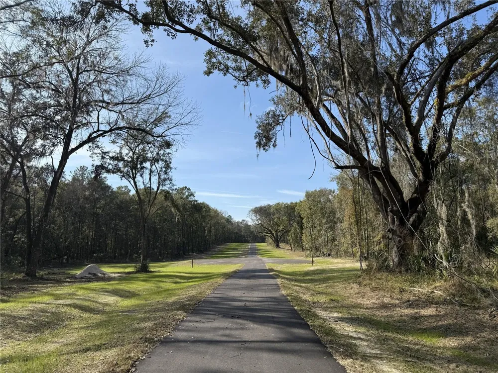 Irvine Acres #3 (10ac) W HWY 318 Reddick, FL 32686