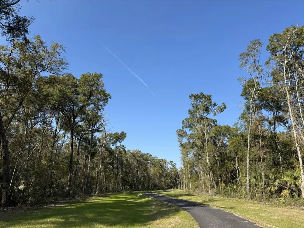 Irvine Acres #3 (10ac) W HWY 318 Reddick, FL 32686
