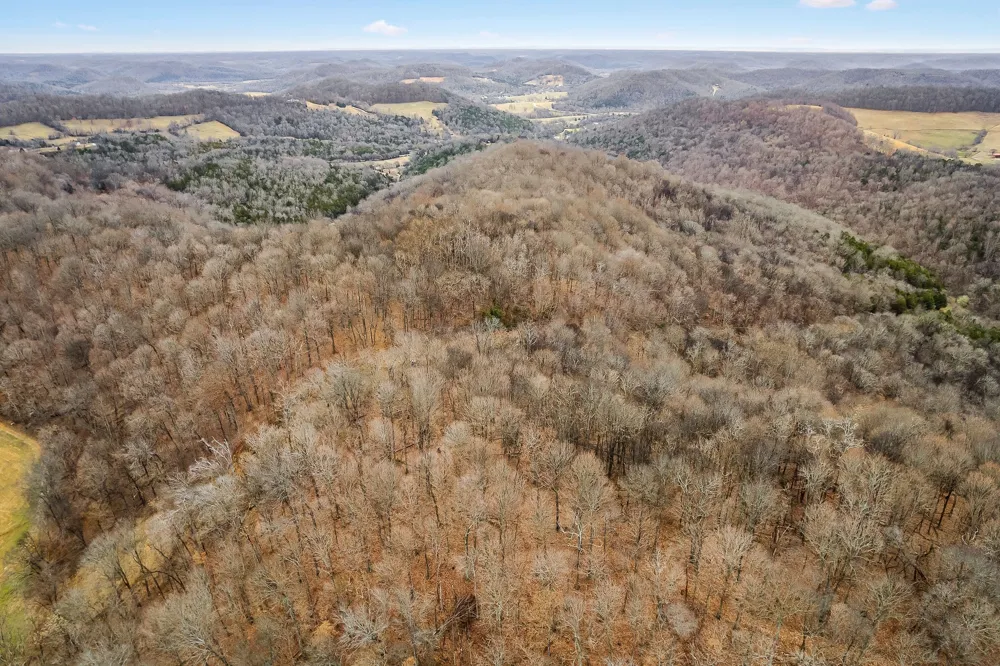 0 Lancaster Hwy Hickman, TN 38567