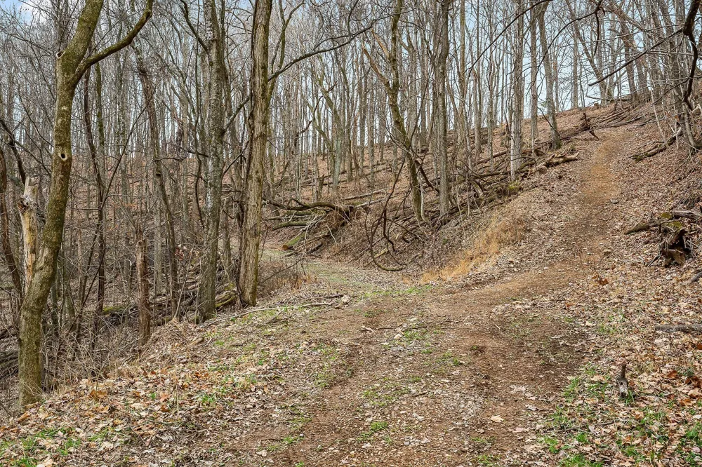 0 Lancaster Hwy Hickman, TN 38567