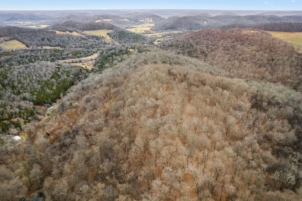 0 Lancaster Hwy Hickman, TN 38567