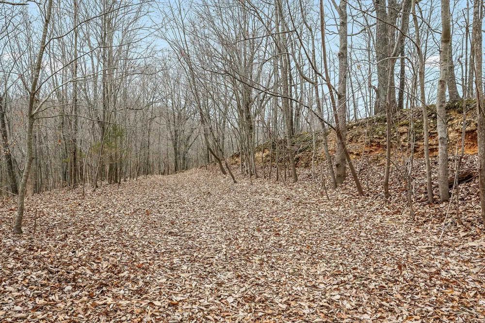 0 Lancaster Hwy Hickman, TN 38567