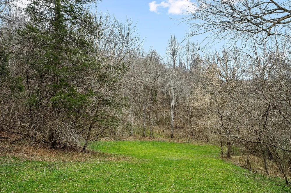 0 Lancaster Hwy Hickman, TN 38567
