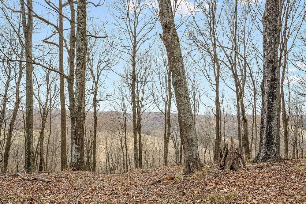 0 Lancaster Hwy Hickman, TN 38567