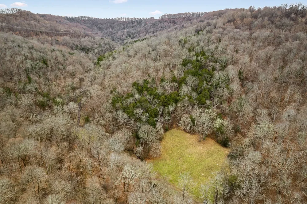 0 Lancaster Hwy Hickman, TN 38567