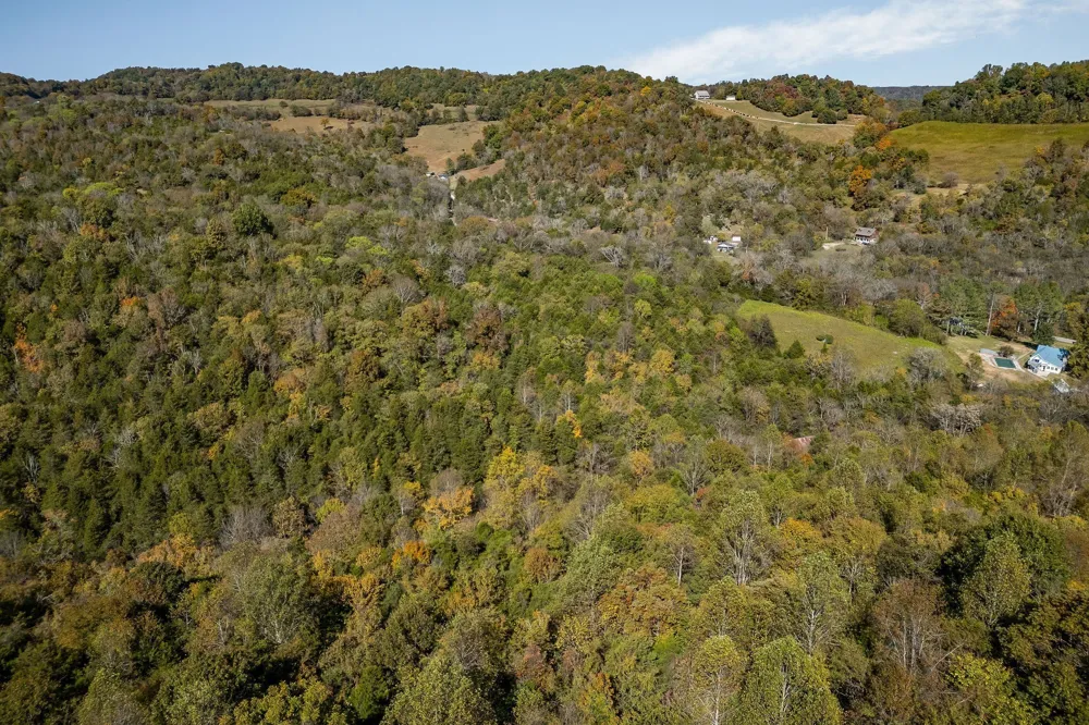 0 Lancaster Hwy Hickman, TN 38567