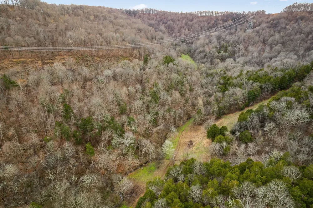0 Lancaster Hwy Hickman, TN 38567