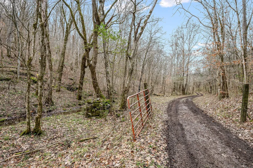 0 Lancaster Hwy Hickman, TN 38567