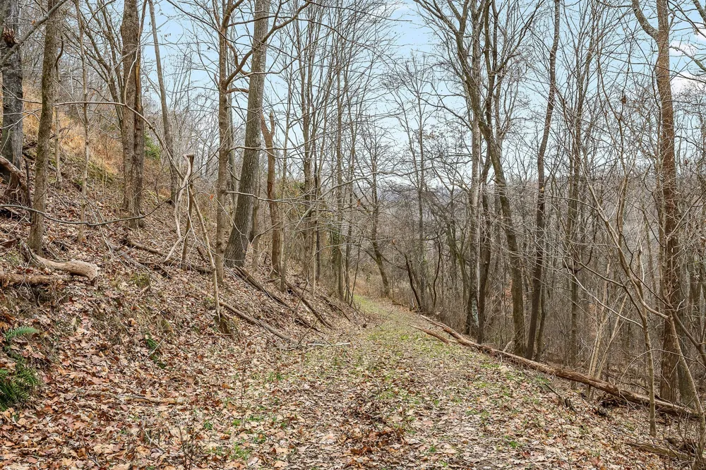 0 Lancaster Hwy Hickman, TN 38567