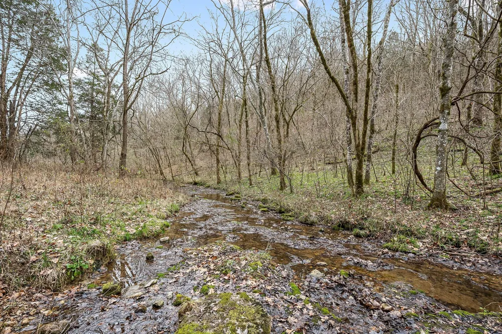 0 Lancaster Hwy Hickman, TN 38567