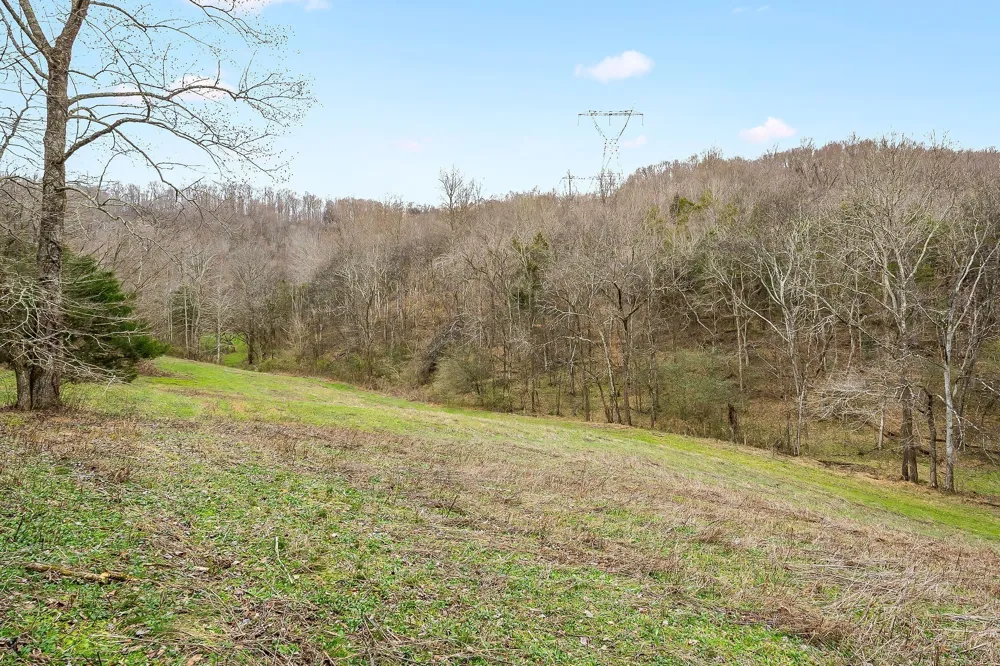 0 Lancaster Hwy Hickman, TN 38567