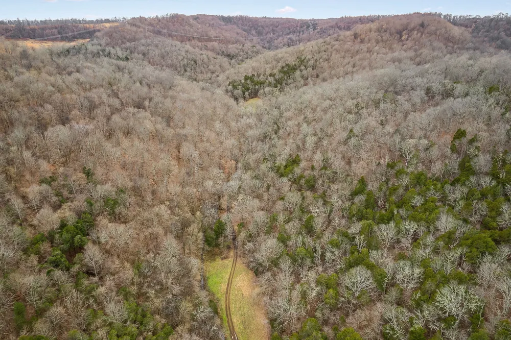 0 Lancaster Hwy Hickman, TN 38567