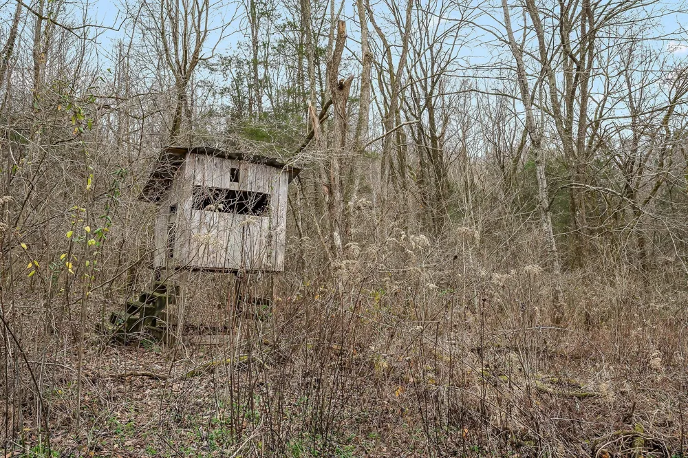 0 Lancaster Hwy Hickman, TN 38567