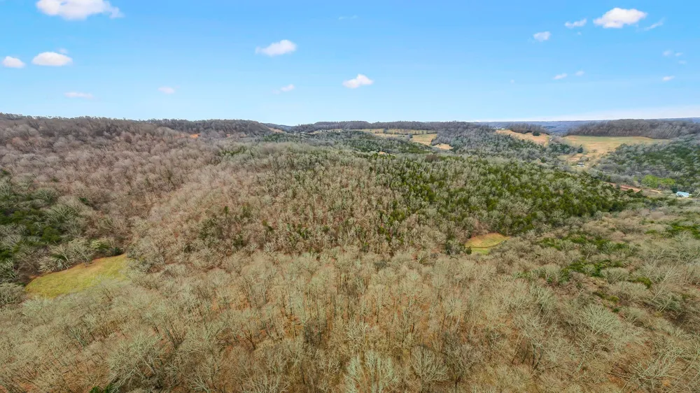 0 Lancaster Hwy Hickman, TN 38567