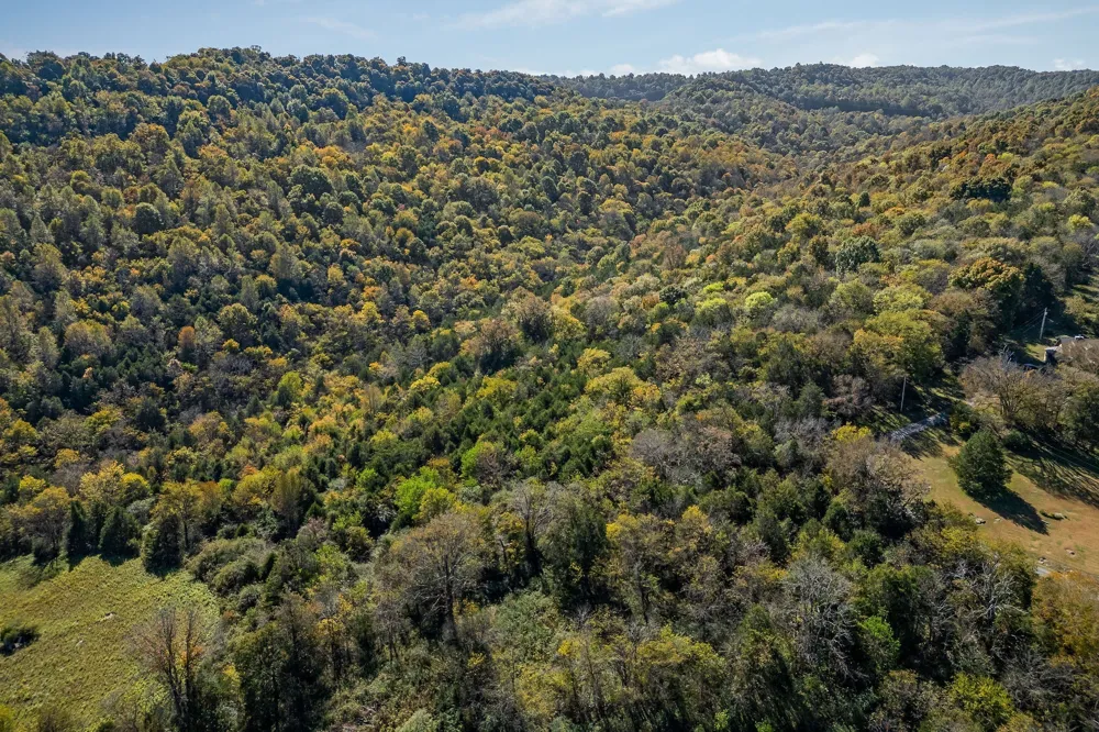 0 Lancaster Hwy Hickman, TN 38567
