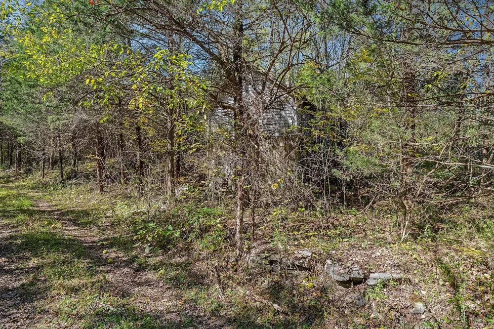 0 Lancaster Hwy Hickman, TN 38567