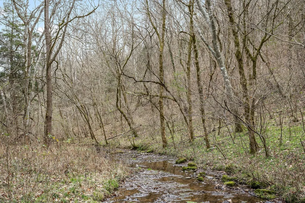 0 Lancaster Hwy Hickman, TN 38567