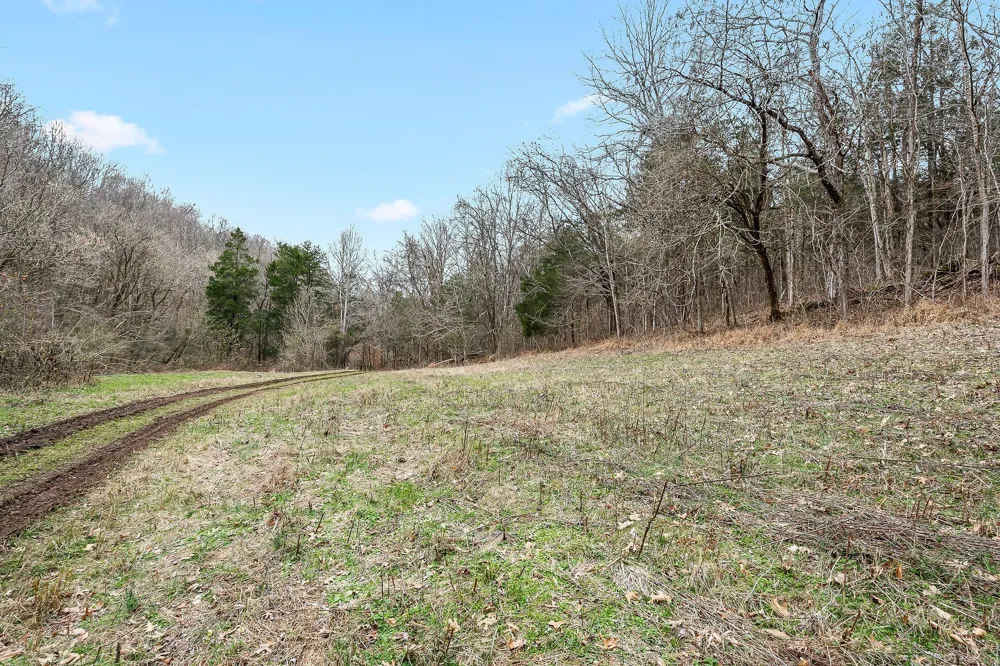 0 Lancaster Hwy Hickman, TN 38567