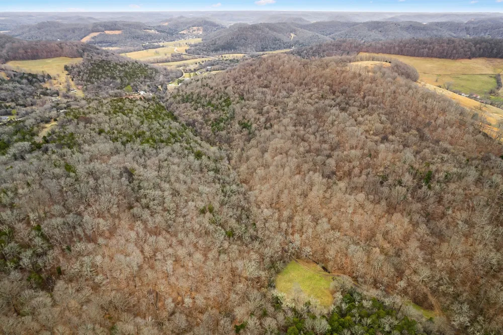 0 Lancaster Hwy Hickman, TN 38567