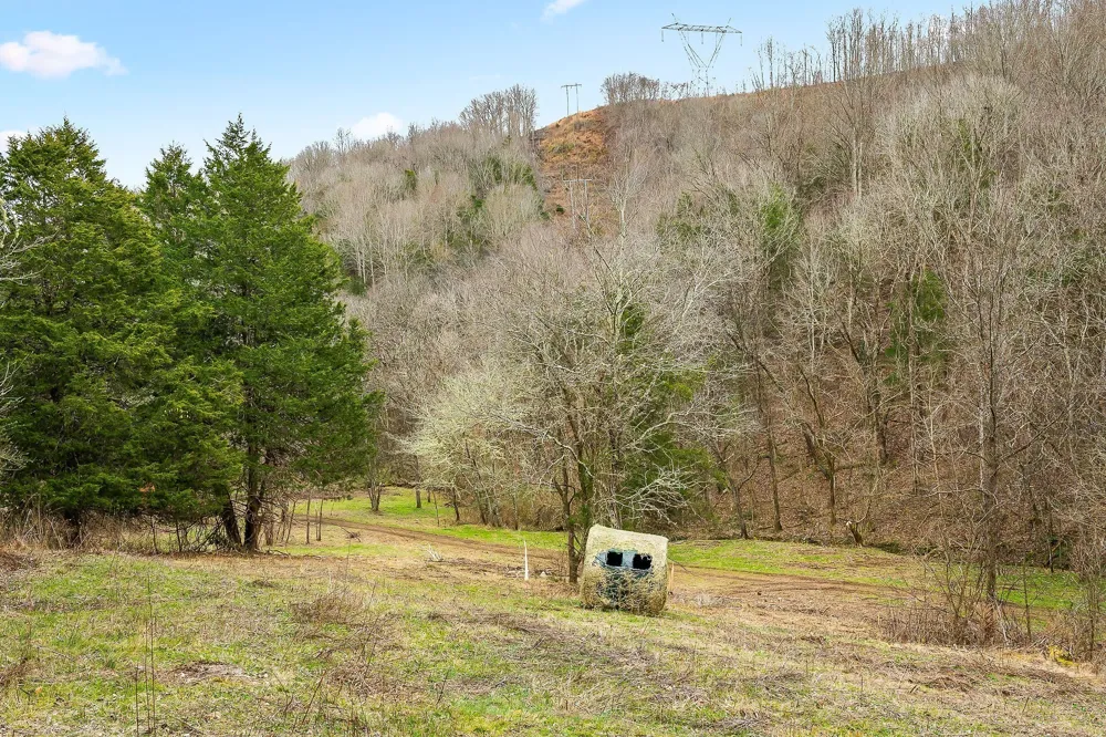 0 Lancaster Hwy Hickman, TN 38567