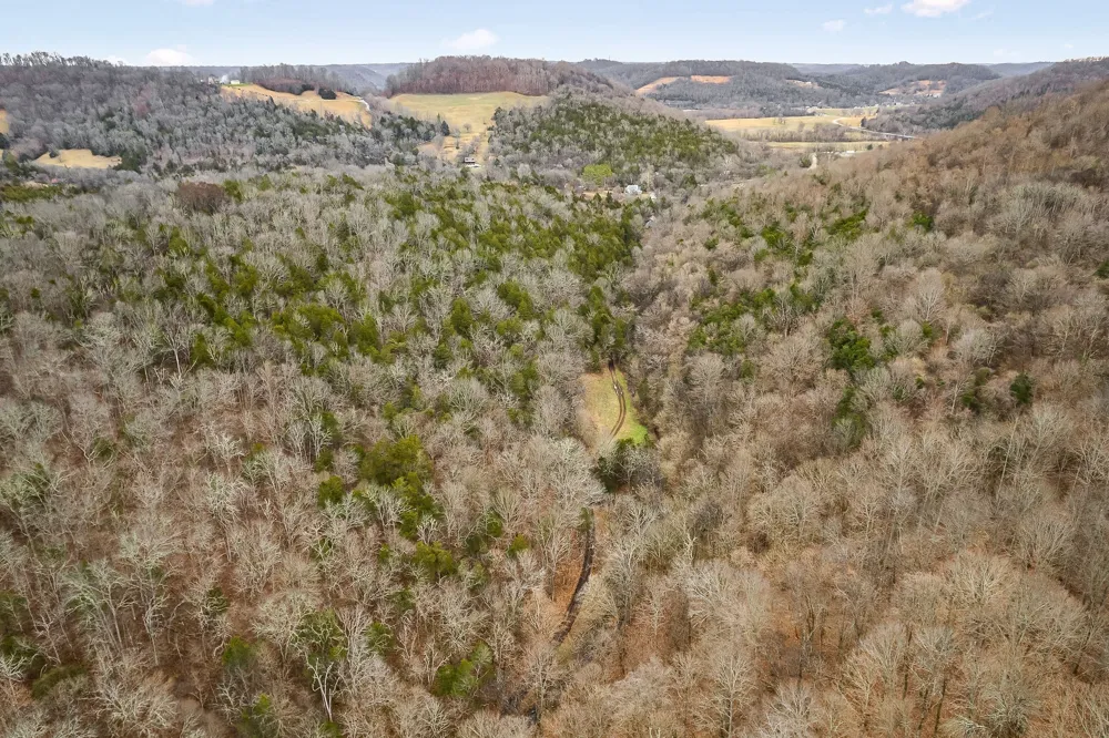 0 Lancaster Hwy Hickman, TN 38567
