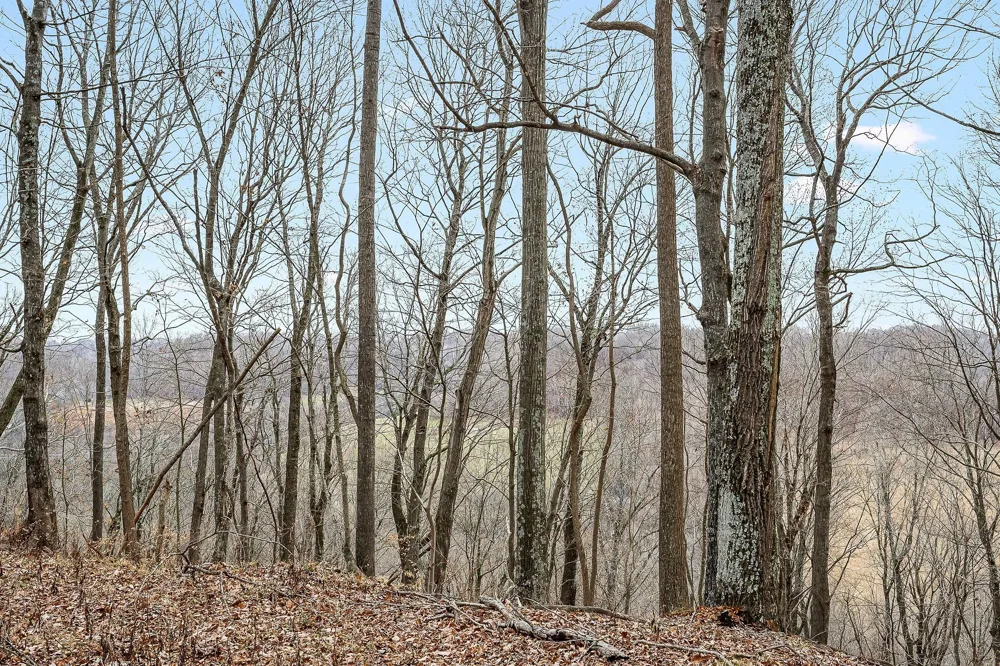 0 Lancaster Hwy Hickman, TN 38567