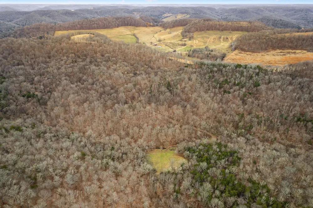 0 Lancaster Hwy Hickman, TN 38567
