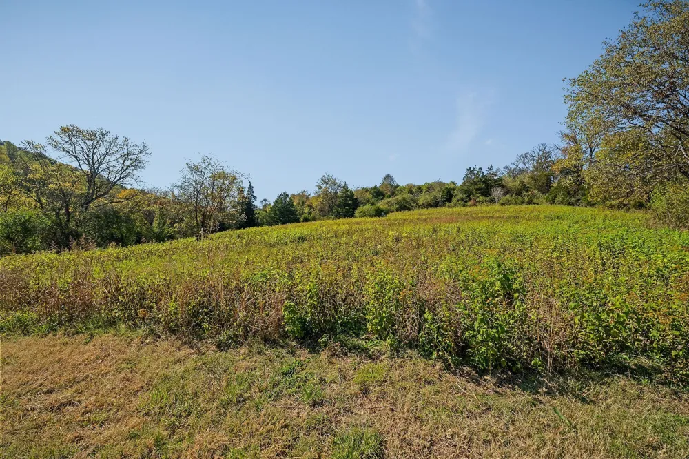 0 Lancaster Hwy Hickman, TN 38567