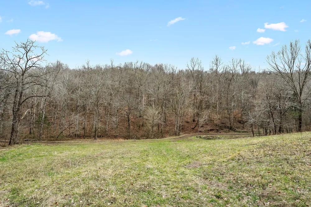 0 Lancaster Hwy Hickman, TN 38567