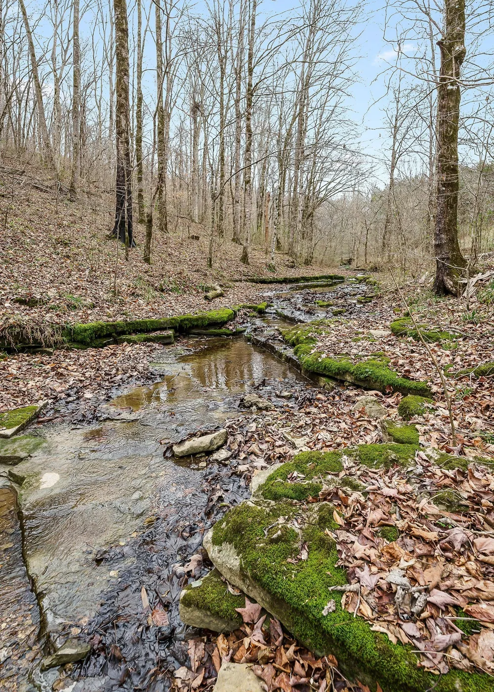 0 Lancaster Hwy Hickman, TN 38567