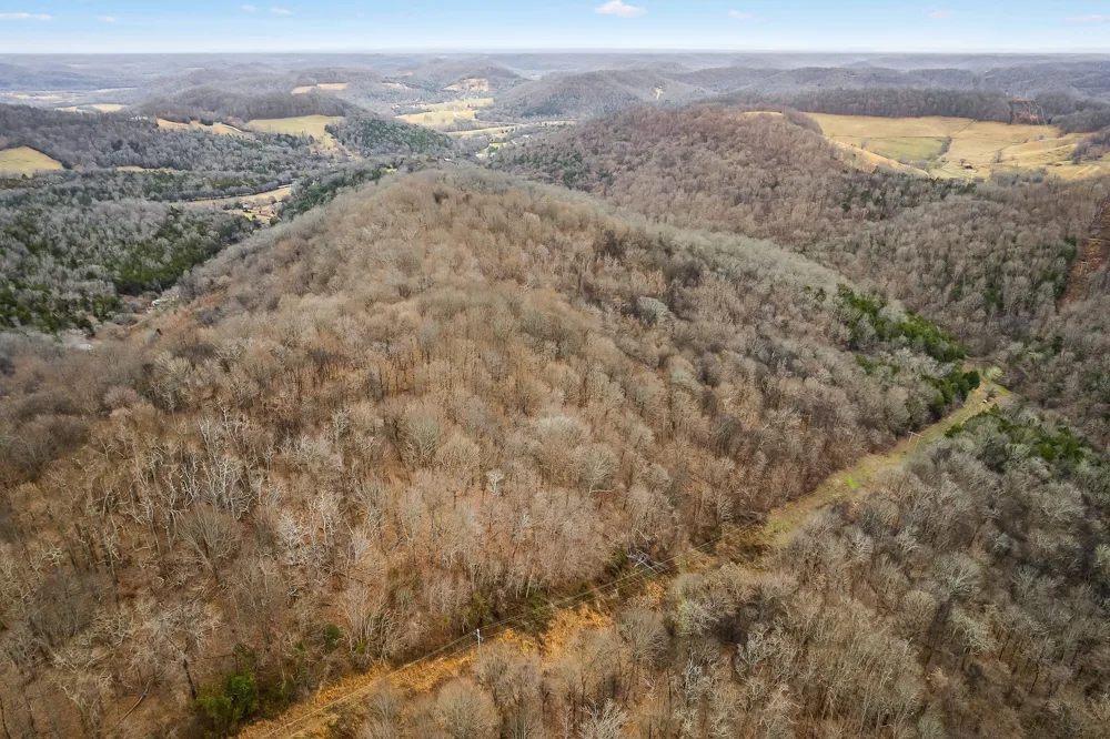 0 Lancaster Hwy Hickman, TN 38567