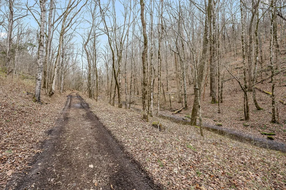 0 Lancaster Hwy Hickman, TN 38567
