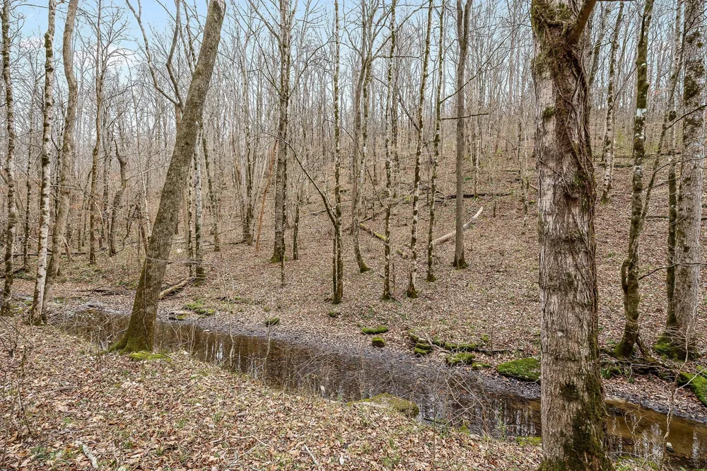 0 Lancaster Hwy Hickman, TN 38567