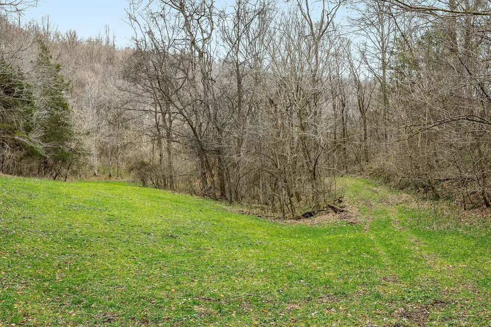 0 Lancaster Hwy Hickman, TN 38567