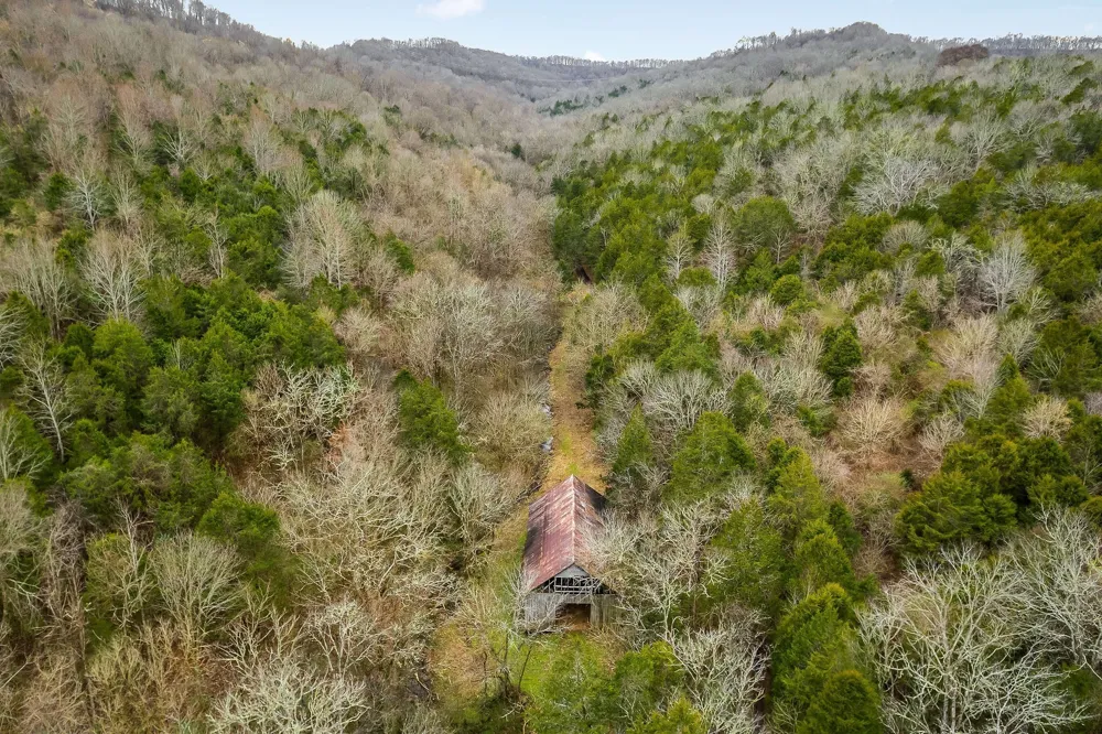 0 Lancaster Hwy Hickman, TN 38567