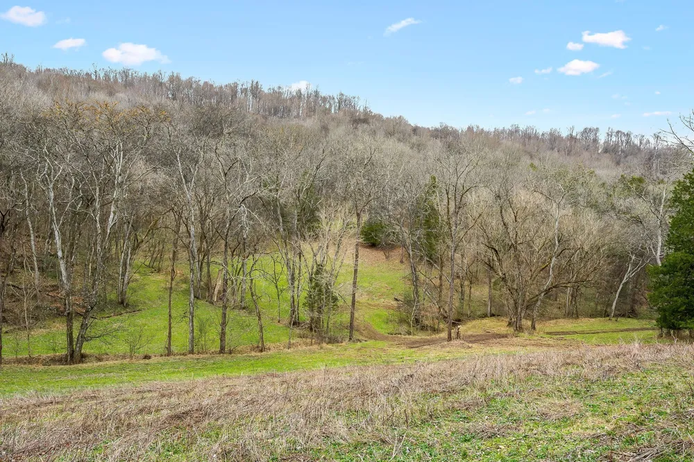 0 Lancaster Hwy Hickman, TN 38567