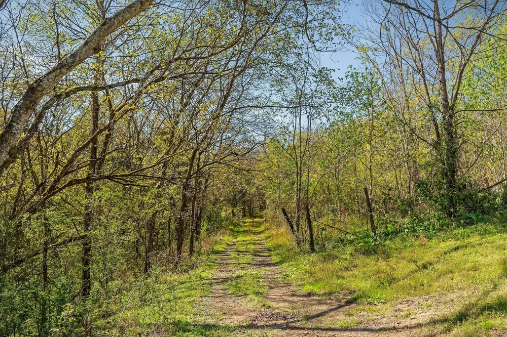 0 Lancaster Hwy Hickman, TN 38567