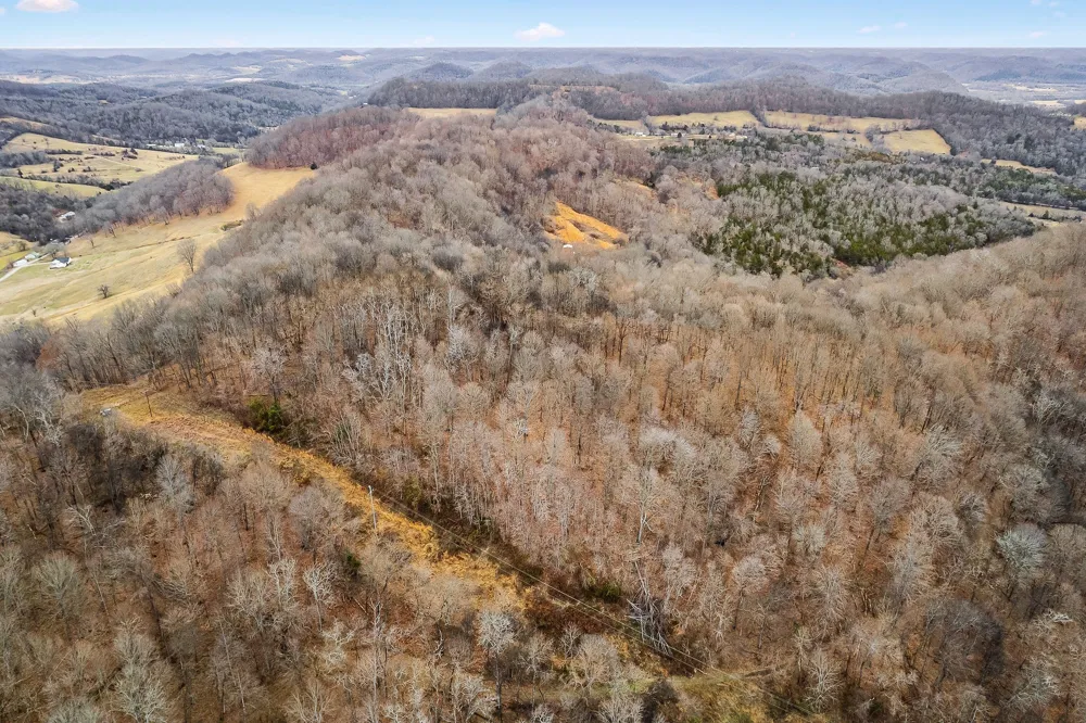 0 Lancaster Hwy Hickman, TN 38567