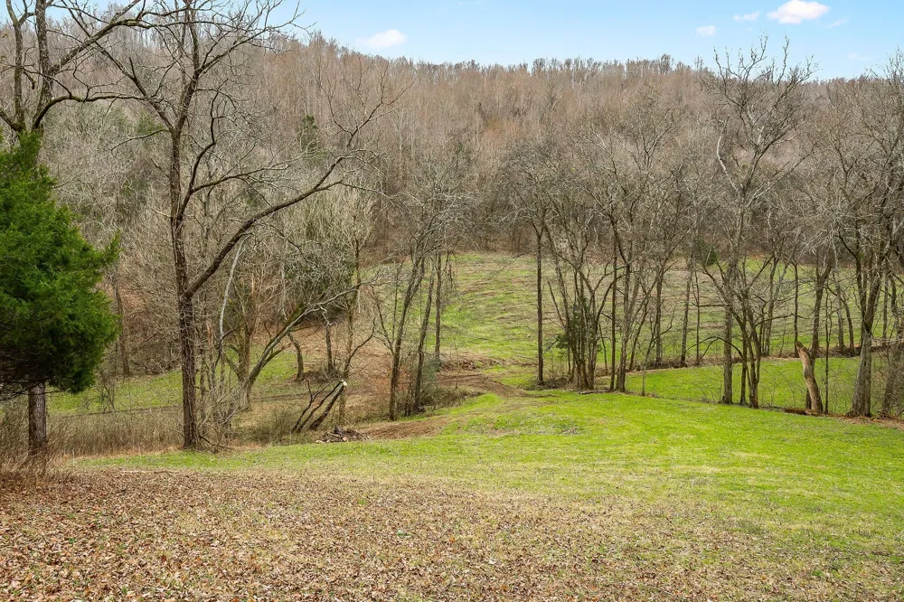 0 Lancaster Hwy Hickman, TN 38567