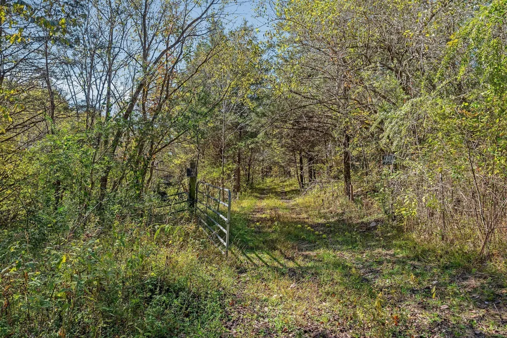 0 Lancaster Hwy Hickman, TN 38567