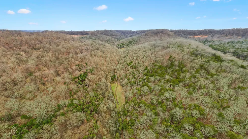 0 Lancaster Hwy Hickman, TN 38567