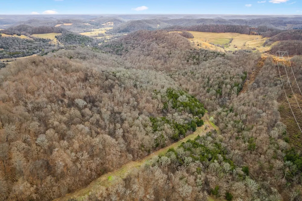 0 Lancaster Hwy Hickman, TN 38567