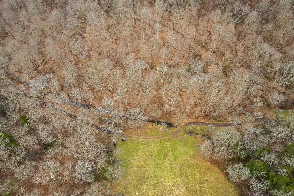 0 Lancaster Hwy Hickman, TN 38567